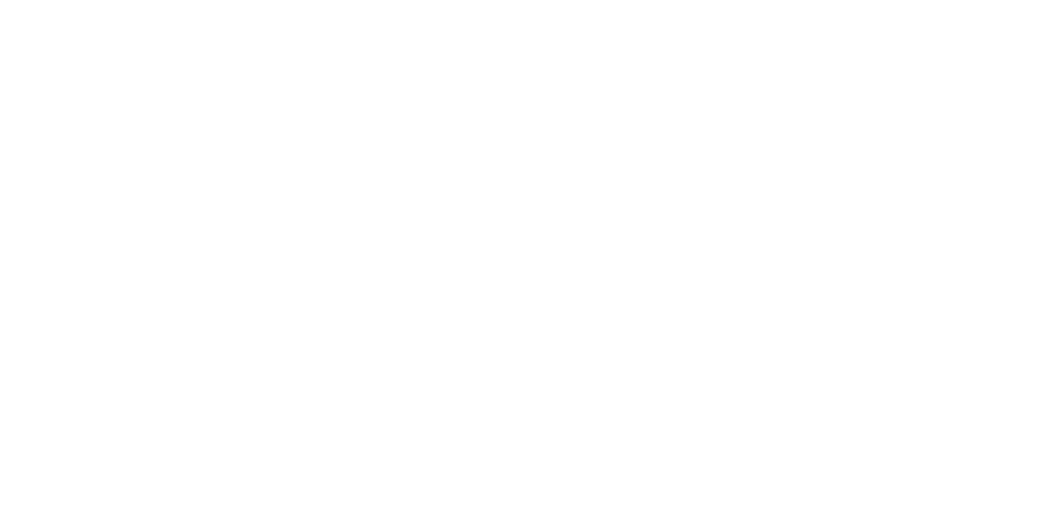 Logo Elbe Investissements Blanc